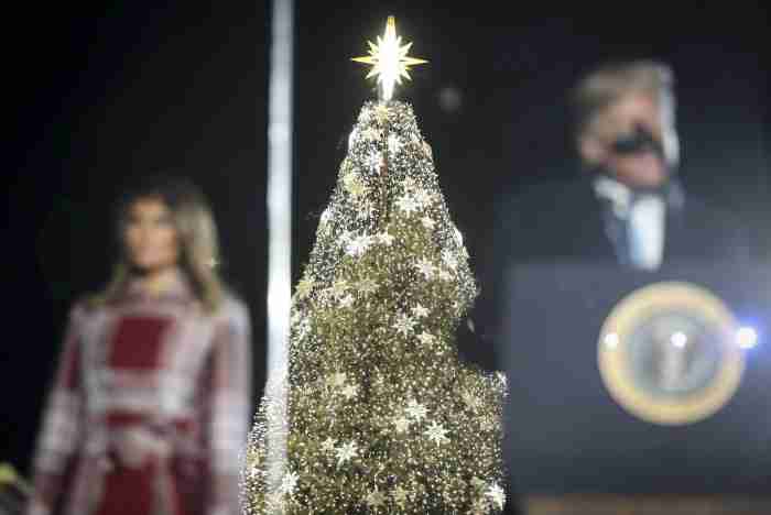 クリスマスツリー出しましたか？