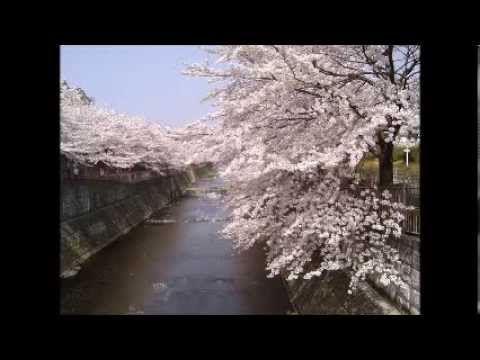ヴィヴァルディ　「四季」より「春」　高音質　FULL - YouTube