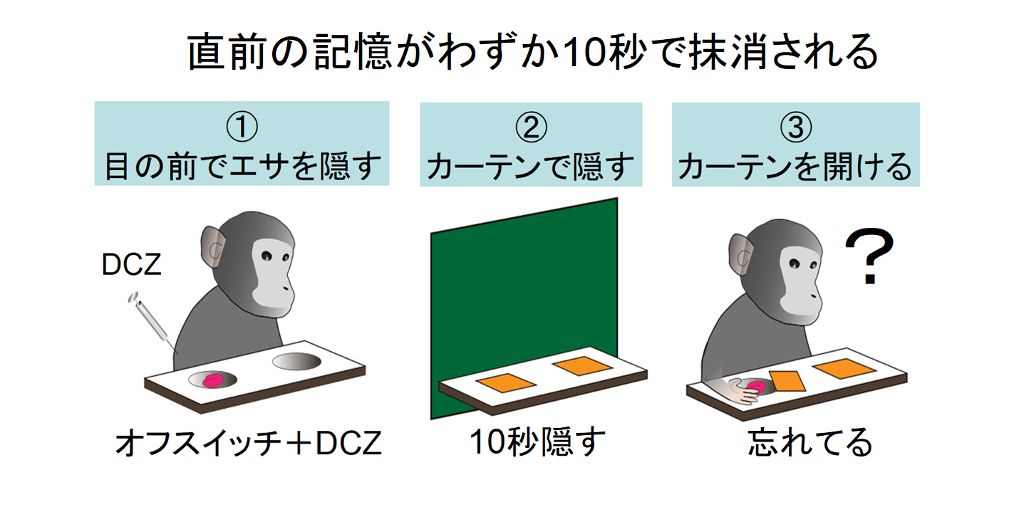 脳のスイッチをオフにして「記憶を削除する薬」が開発される - ナゾロジー