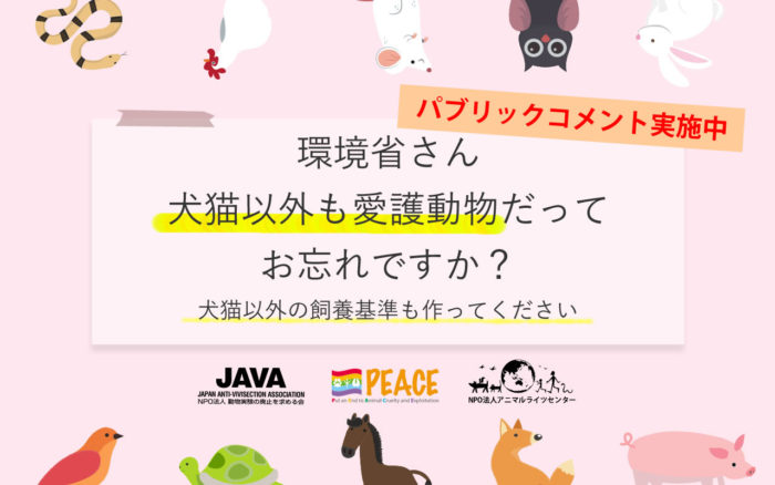 動物取扱業者の飼養規準、パブリックコメントへ意見を！　11月17日締切 | PEACE 命の搾取ではなく尊厳を