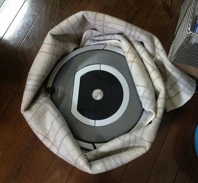 色々とやらかしてしまったロボット掃除機のハプニング 5選