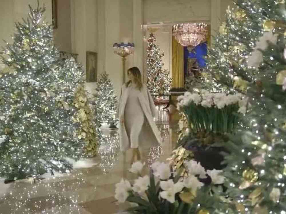 クリスマスツリー出しましたか？