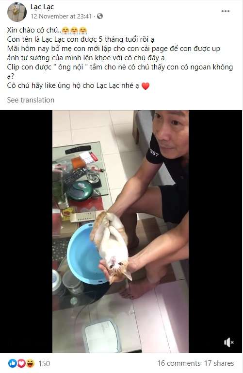 赤ちゃんの沐浴を息子夫婦に教える父親、モデルになった猫が完璧すぎて大人気に（ベトナム）