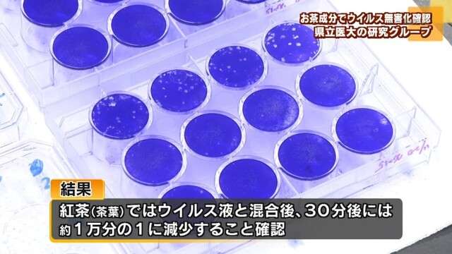 奈良県立医大　お茶の成分でウイルス無害化を確認（奈良テレビ放送） - Yahoo!ニュース