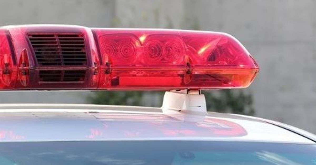 北九州市でサル出没　5歳男児襲われけがも　注意呼び掛け｜【西日本新聞ニュース】