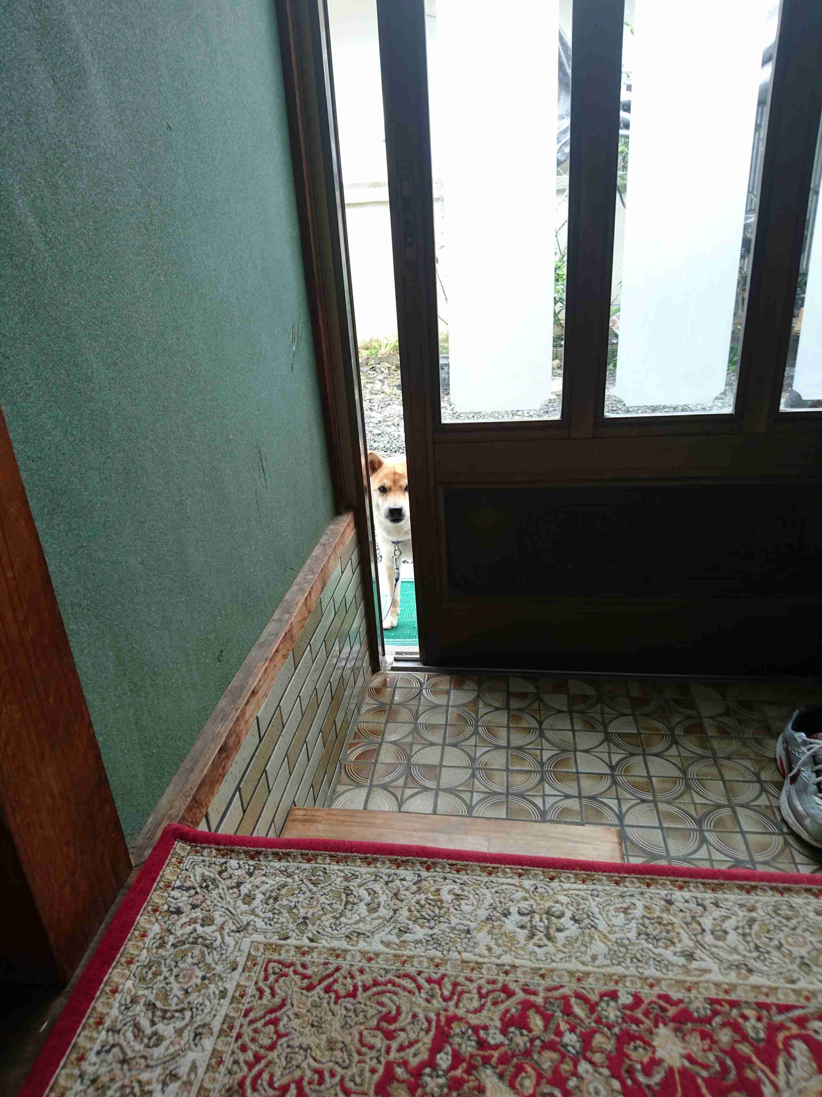 視線を感じるトピ