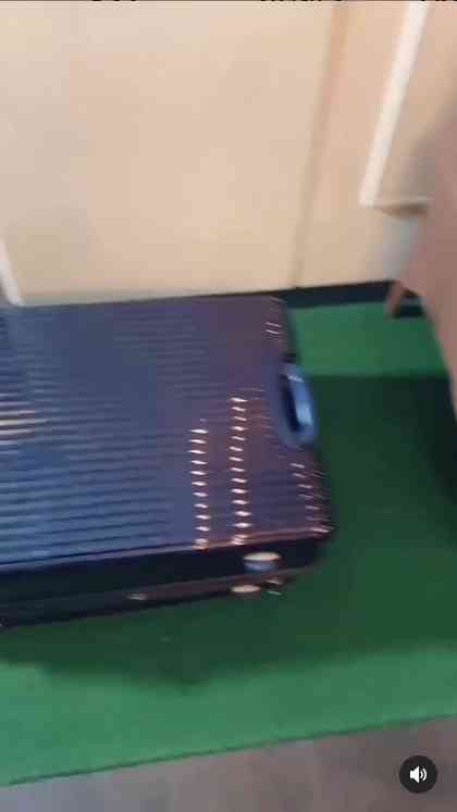 加藤紗里の “イリュージョン