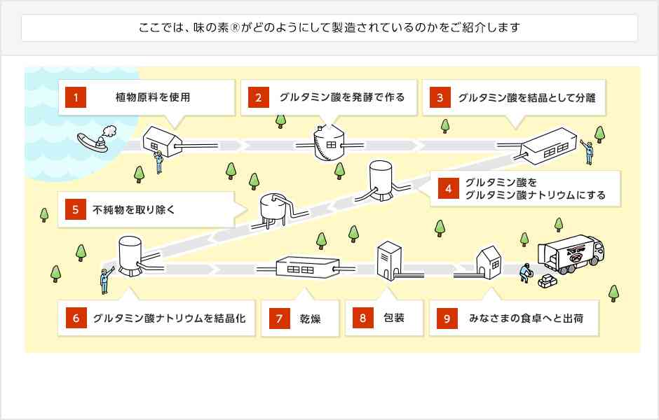味の素®の原材料は何？製法は？安全なの？ | 味の素株式会社
