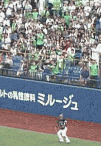 プロ野球観戦に行ったことがある方!