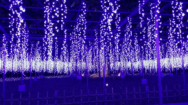 イルミネーションを見てみたい