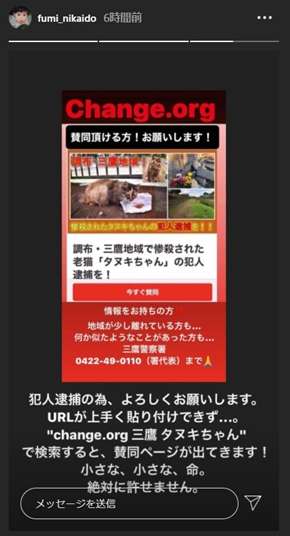 【猫好き】猫の幸せについて語るトピ【限定】