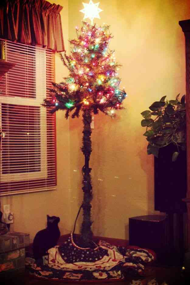 クリスマスツリー出しましたか？