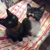 3939thanks on Twitter: 