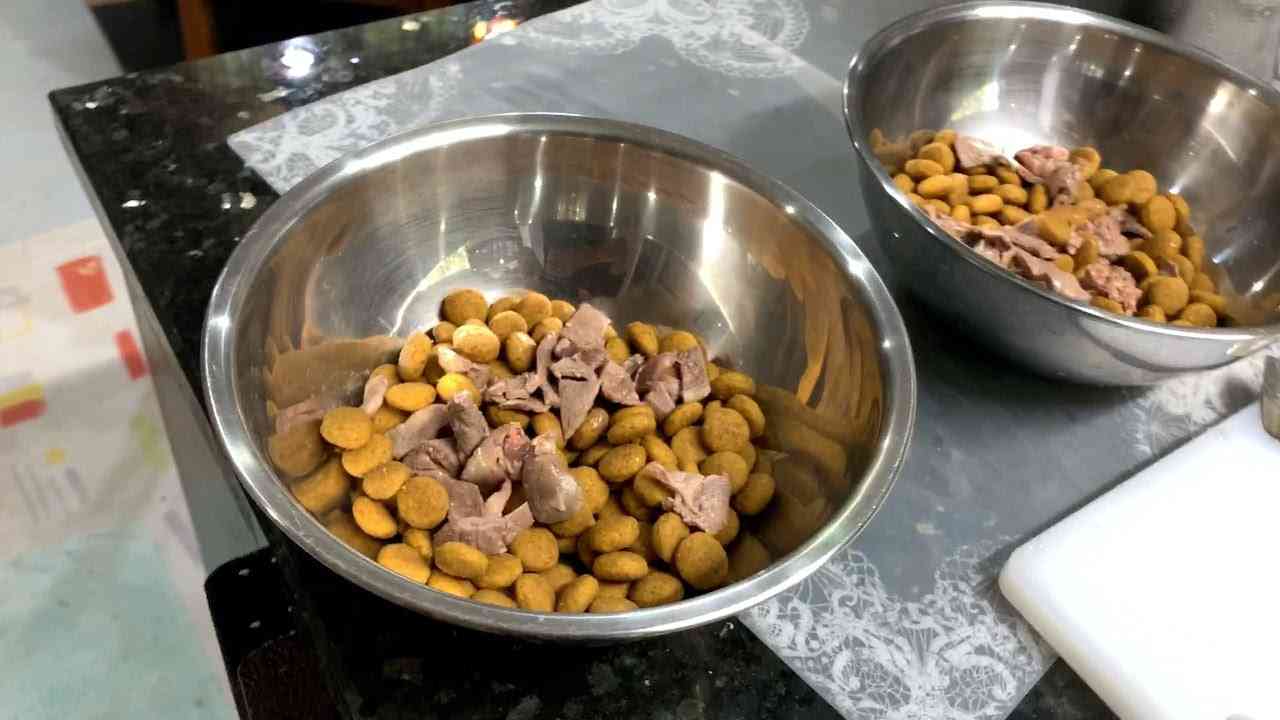 【ルンルンの裏庭】ルンルンとアランの毎日の食事 - YouTube