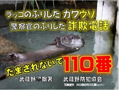 何も悪いことしてないのに...　警察署の詐欺防止ポスターで、カワウソがまさかのとばっちりを食ってしまう - コラム - Jタウンネット　東京都