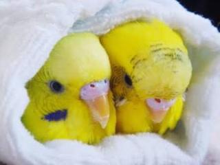 ニトリのオススメ