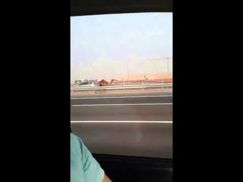 Runaway Camel Runs Down Highway | Only In Abu Dhabi - YouTube