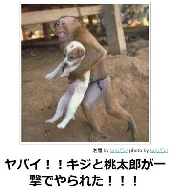 慣用句&ことわざっぽい画像トピ!