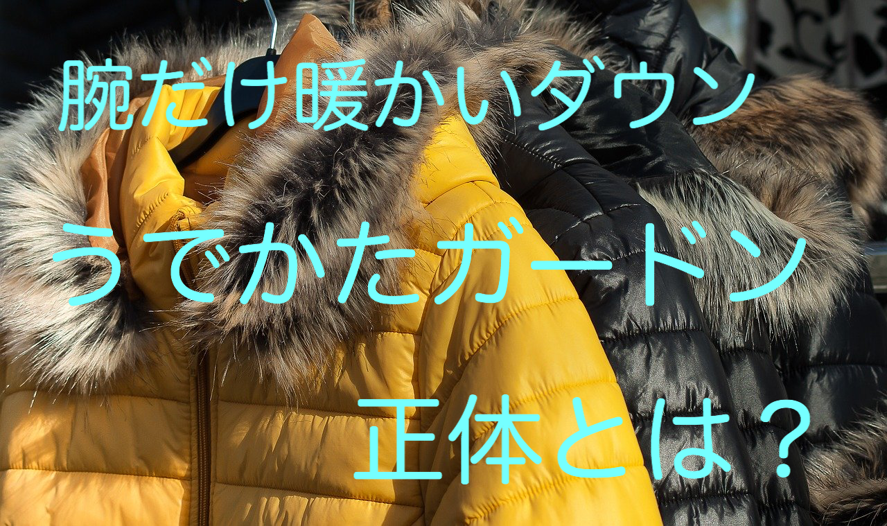 さまぁ〜ず大竹さんがテレビで話してる腕だけのダウンとは？ | KOO'Sブログ