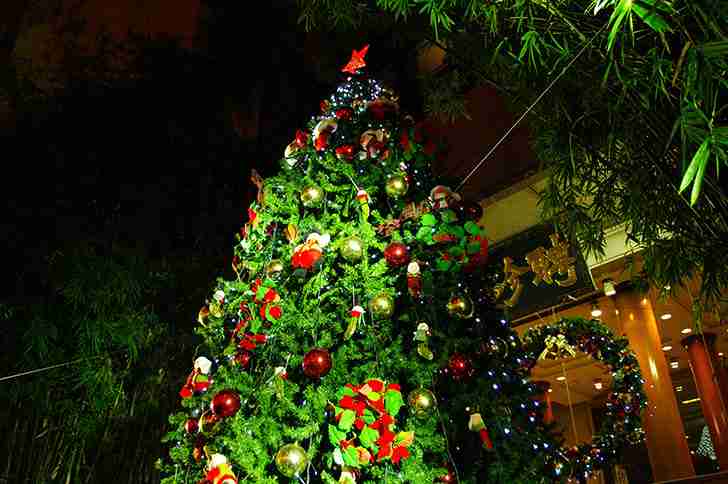 わくわくする冬の画像を下さい！