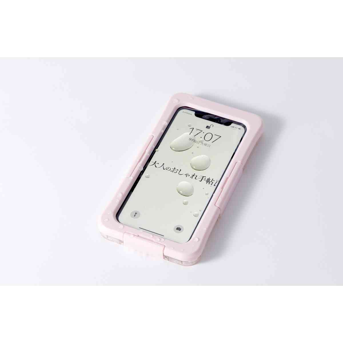 【定期トピ】雑誌付録12・1月号