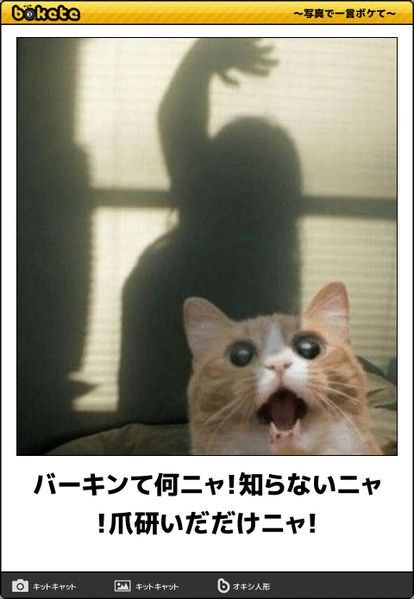 何度見てもじわじわくる画像part4