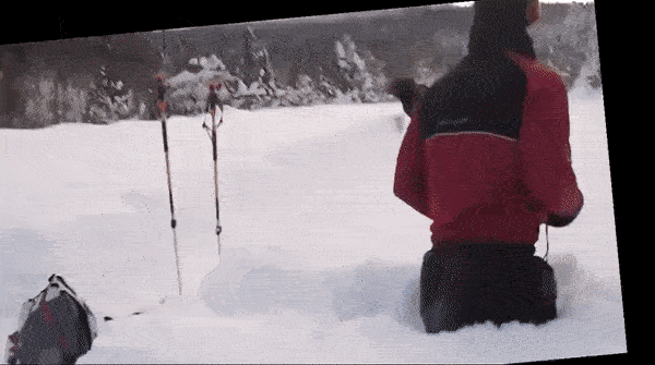 衝撃的なgif