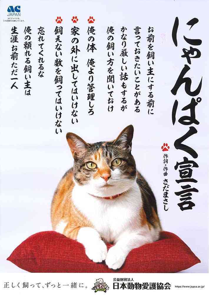 猫飼い総合トピ part3