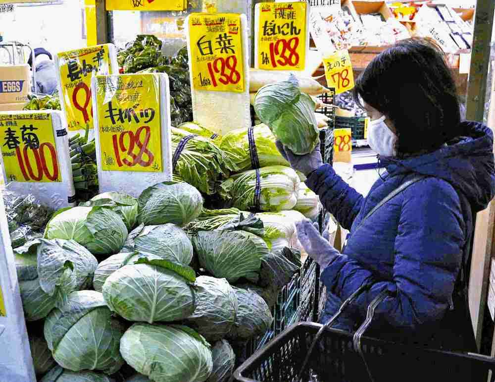 野菜安すぎ、「利益出ない」と産地悲鳴…生育順調・コロナで外食低迷