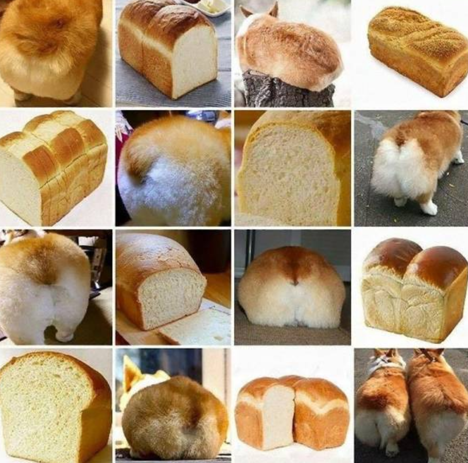 ガル民の手作りお菓子が見たい🥞