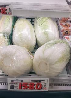 ハクサイ1580円、レタス461円、キャベツ298円の衝撃！ 7月の長雨が響き全国で野菜高騰、庶民の防衛策はこれだ！