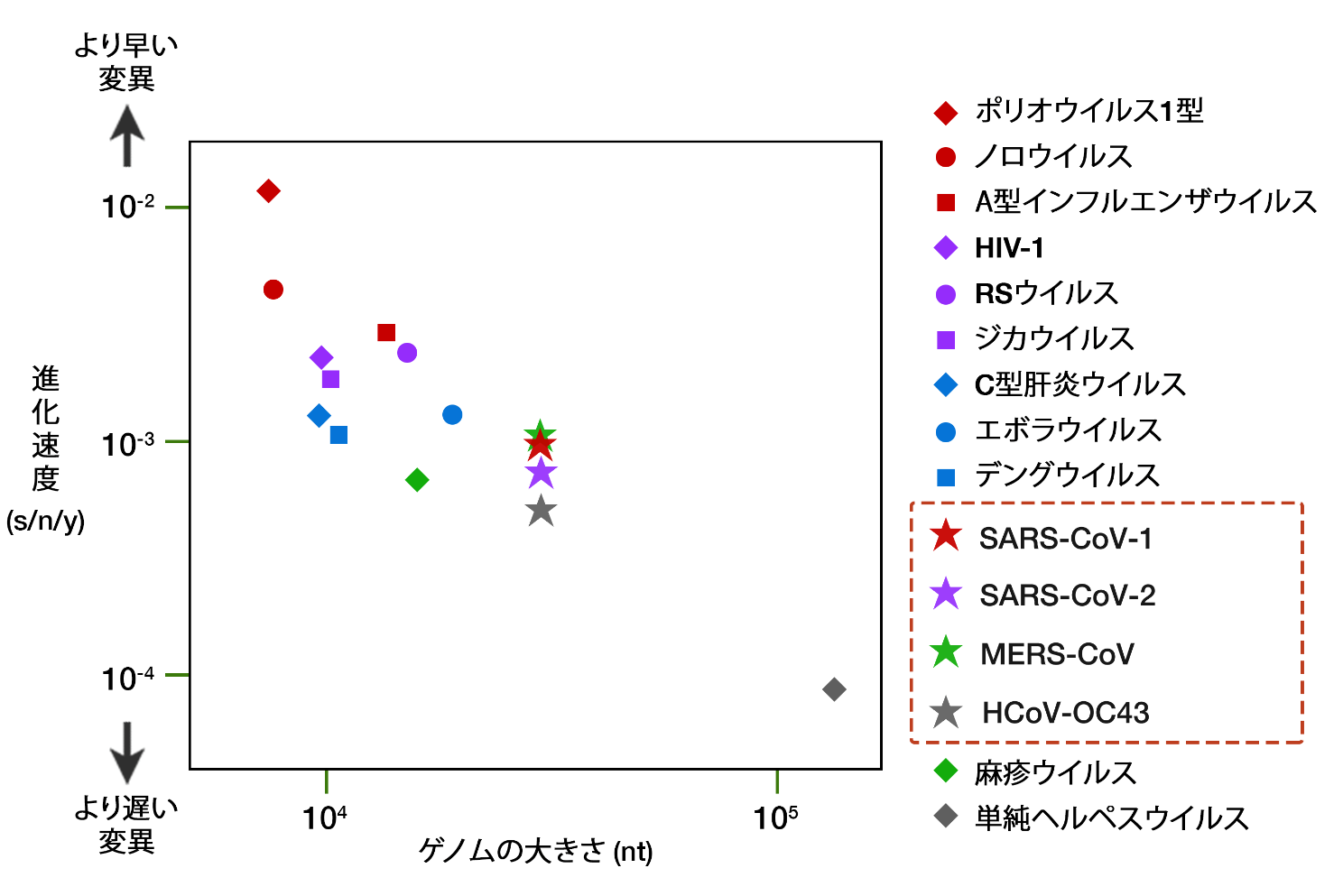 新型コロナ　東京都で新たに572人の感染確認 65歳以上の高齢者が過去最多の103人