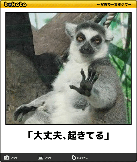 疲れちゃった動物たち