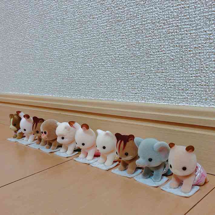 ネット上で「最高にかわいい」と話題になった写真がこちら【全6枚】