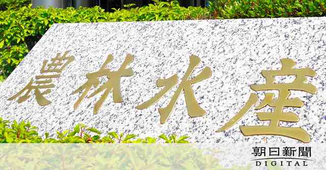 注目高まる種苗法改正　種が高騰？　国は開発者保護訴え：朝日新聞デジタル