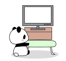 年末年始に観る予定のテレビ番組