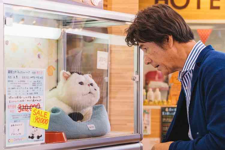 ドラマ「おじさまと猫」の世界に吉澤嘉代子と阿部真央の歌声が寄り添う、予告も公開（コメントあり / 動画あり） - コミックナタリー