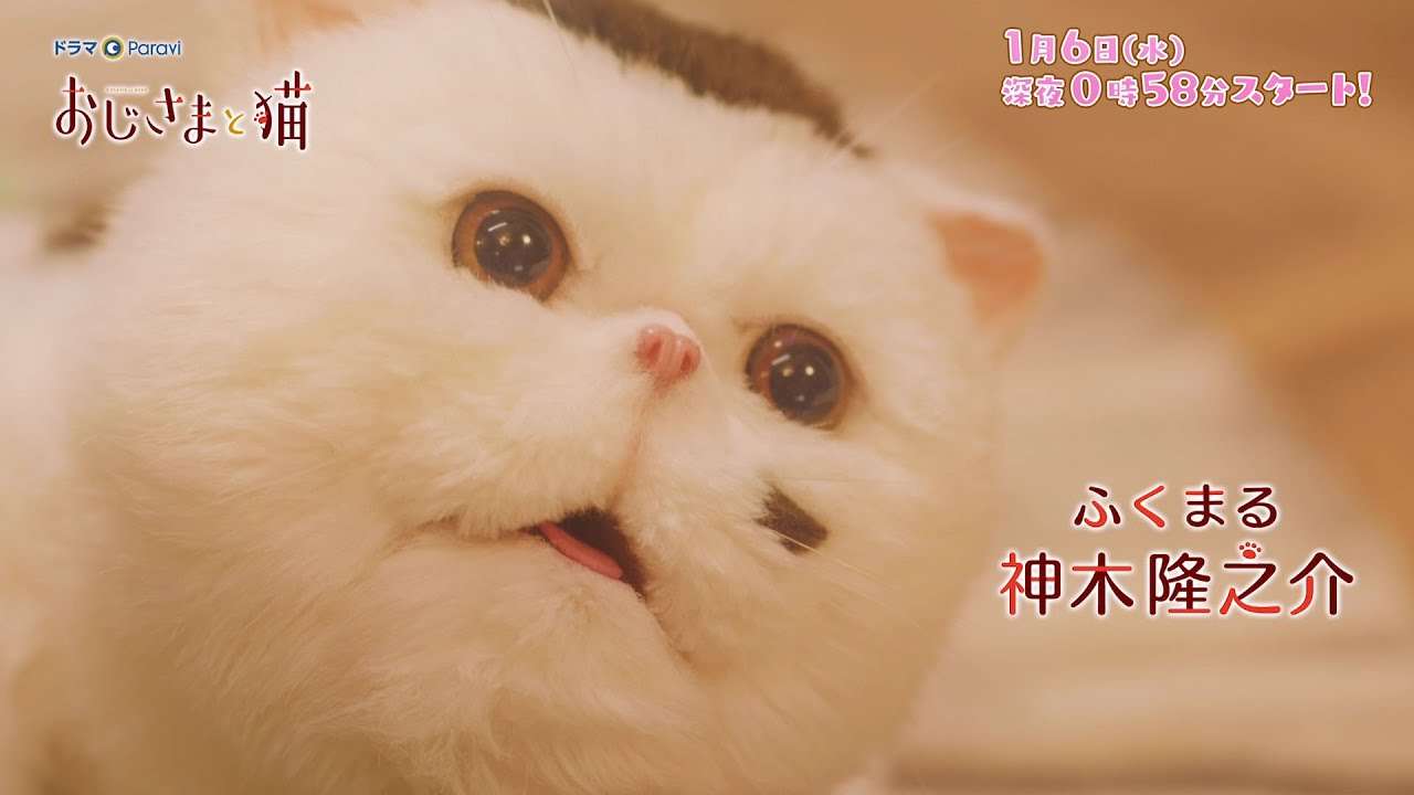 「おじさまと猫」60秒PR／吉澤嘉代子バージョン - YouTube