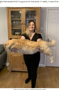 「写真加工？」と言われるほど巨大な猫　飼い主は「抱きしめがいがあるの！」（英）
