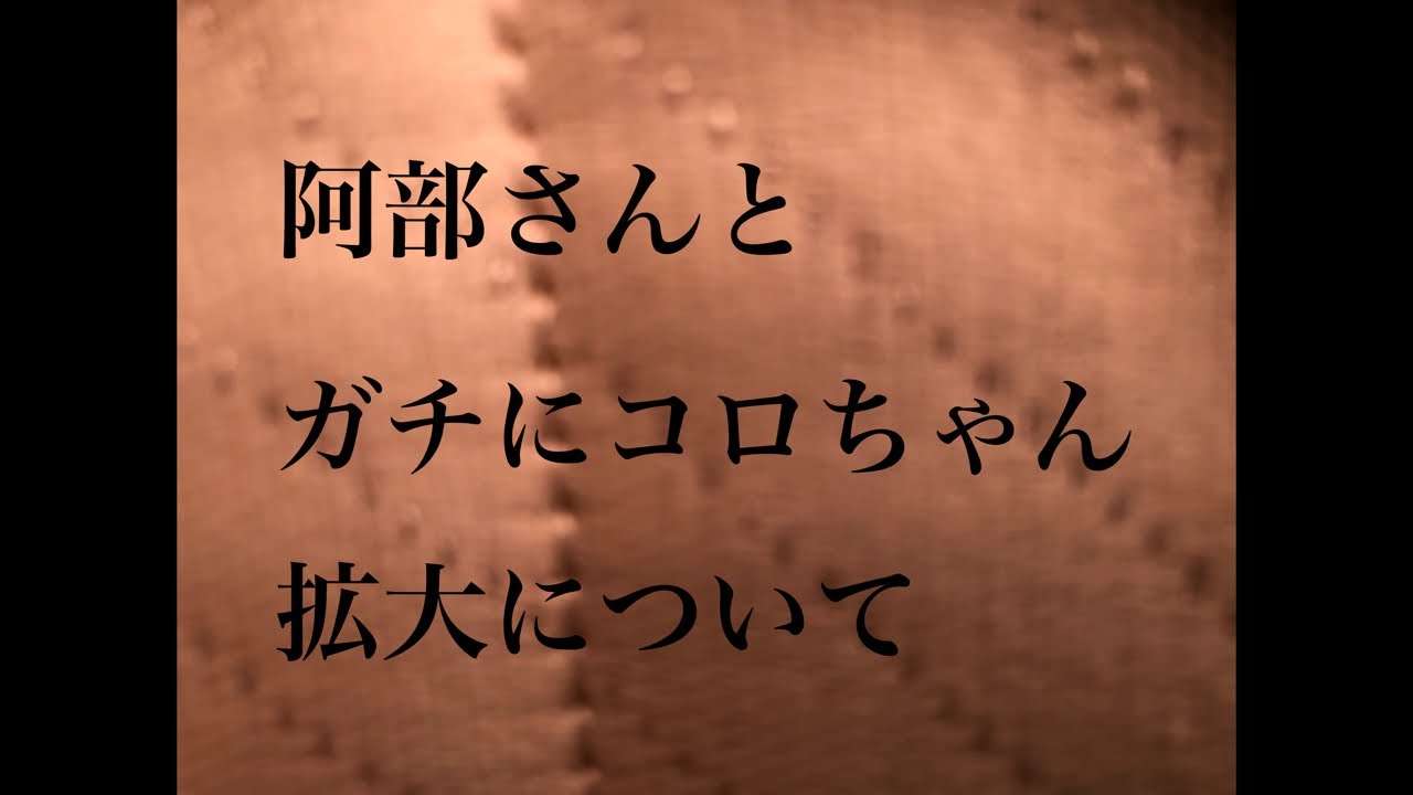 阿部さんとコロちゃんについてコラボ！ - YouTube