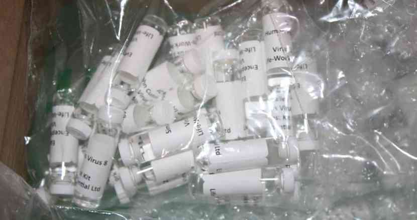 必ず陰性になる「偽物」のコロナ検査キットが大量押収。消費者心理に漬け込んだ悪質商法が世界で蔓延｜FINDERS