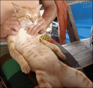 疲れちゃった動物たち