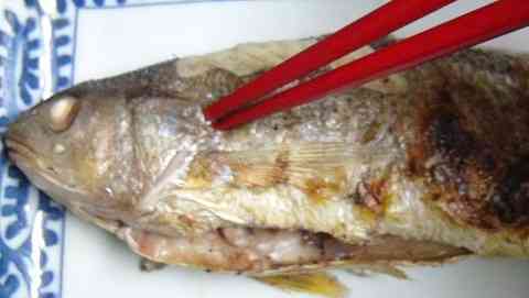 焼き魚のきれいな食べ方のコツ！上手に食べる方法はこれ！