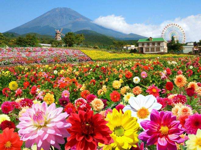 ニート歴がある方、幸せになれましたか？