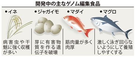 ゲノム編集食品「日本農業の変革点に」　農作物や魚…進む実用化　（産経新聞） - Yahoo!ニュース
