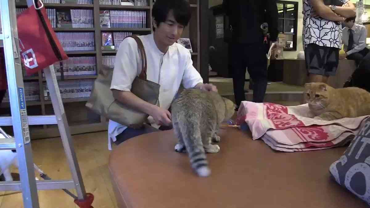 ”イケおじ”眞島秀和 「かわいい私生活」こそ真の素顔だった