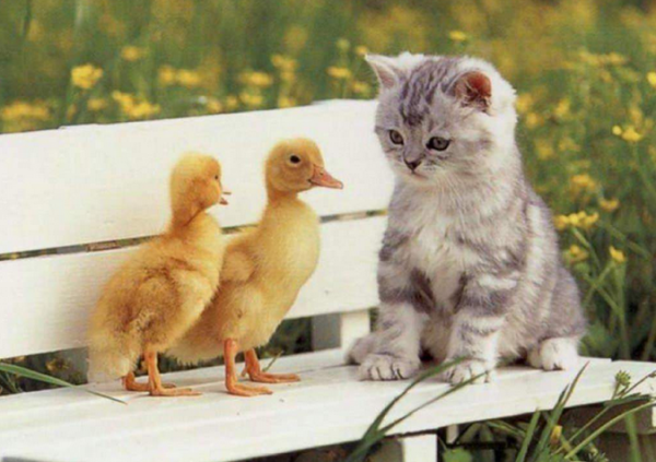 忘れられない嘘