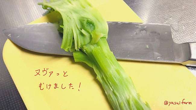 「知らなかった」「クセになる」 ブロッコリーの茎、ベロっとむける方法とは?