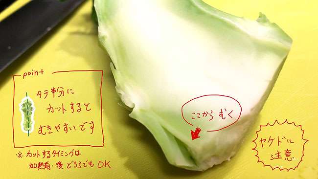 「知らなかった」「クセになる」 ブロッコリーの茎、ベロっとむける方法とは?