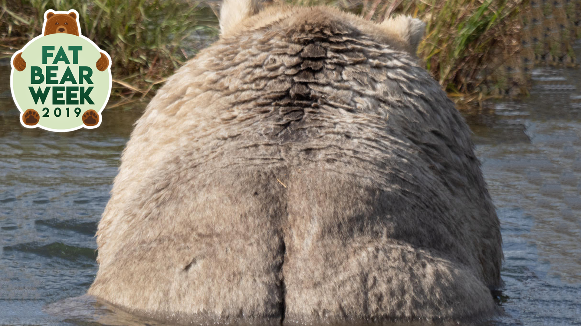 デカ尻を改善したい